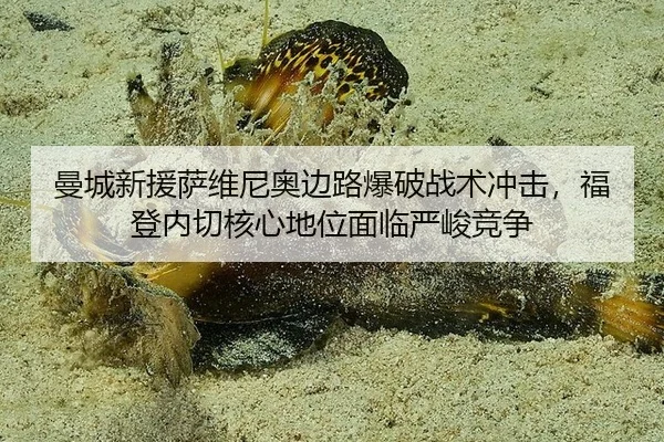 man-cheng-xin-yuan-sa-wei-ni-ao-bian-lu-bao-po-zhan-shu-chong-ji-fu-deng-nei-qie-he-xin-di-wei-mian-lin-yan-jun-jing-3-397.jpg