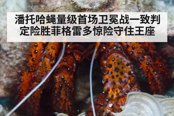 潘托哈蝇量级首场卫冕战一致判定险胜菲格雷多惊险守住王座