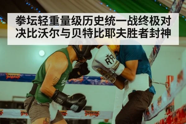 拳坛轻重量级历史统一战终极对决比沃尔与贝特比耶夫胜者封神